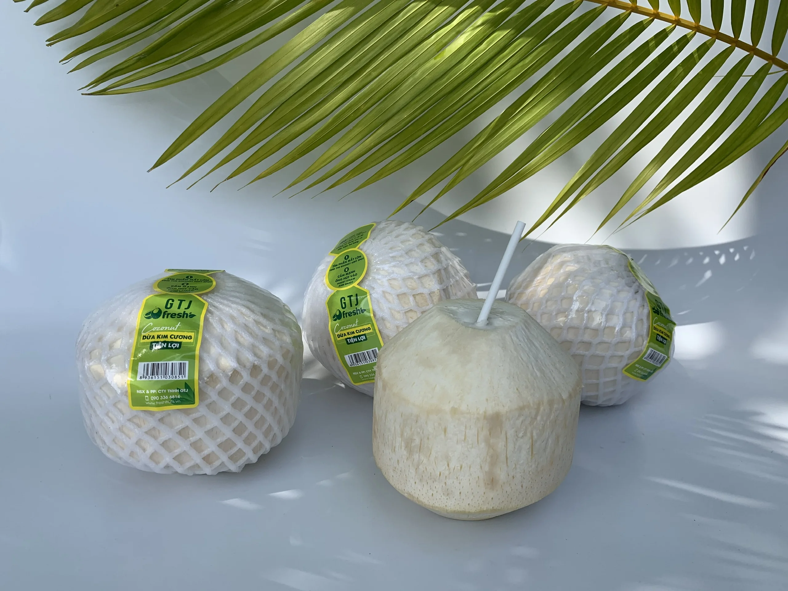 Four Weeks Shell Life Pulp and shell Common Cultivation Type Convenient Diamond Cut Shape Coconut  from Vietnam