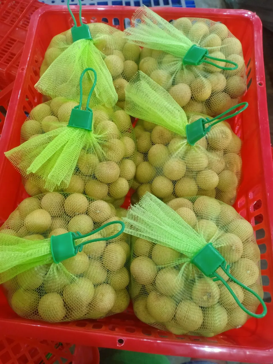 FRESH LONGAN and frozen longan GOOD PRICE FROM VIETNAM  contact +84963818434