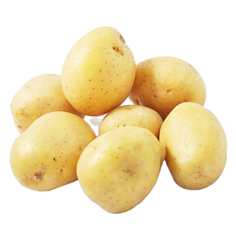  Irish white potato in bulk at good prices from Austria