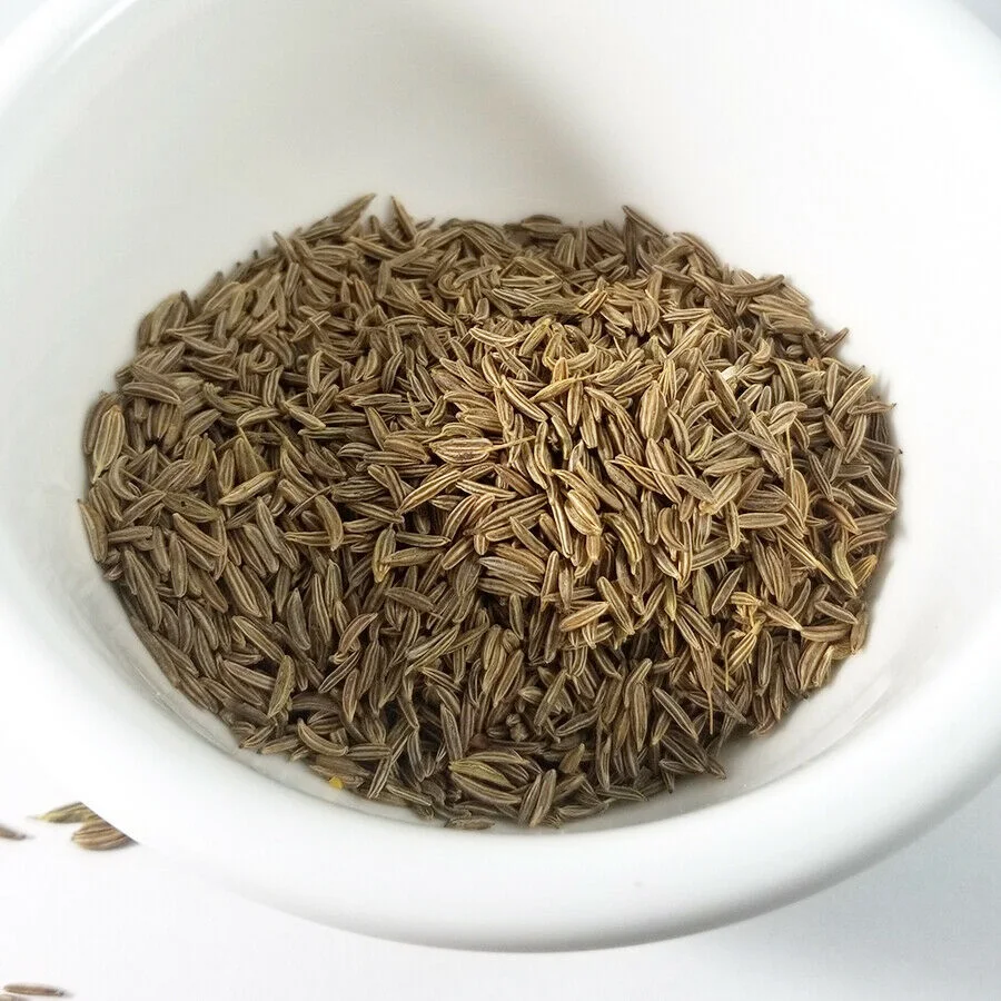 cumin seeds purchase
