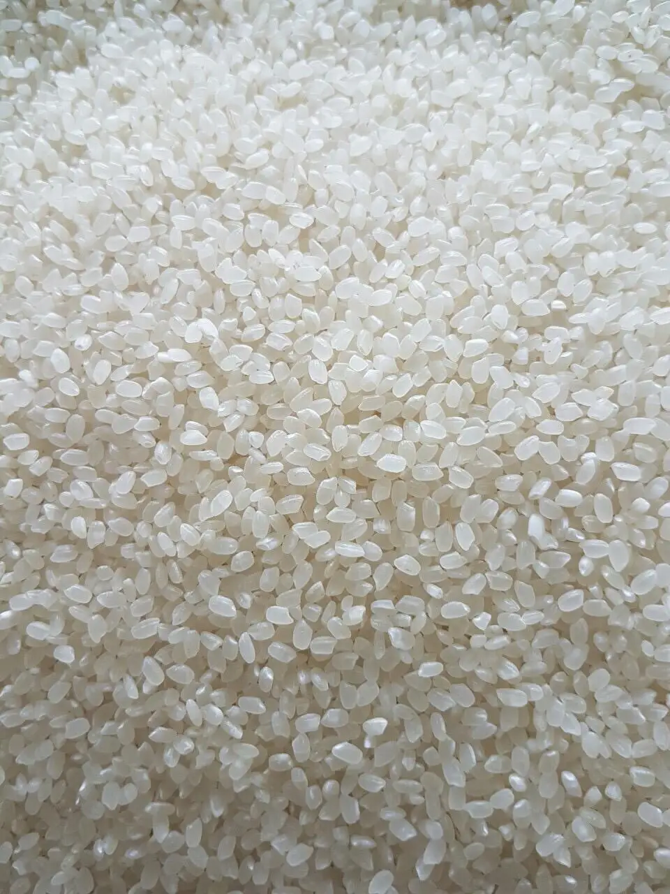  Японский рис белого цвета/круглый/рис для суши из Вьетнама 2020 и новый урожай 2021