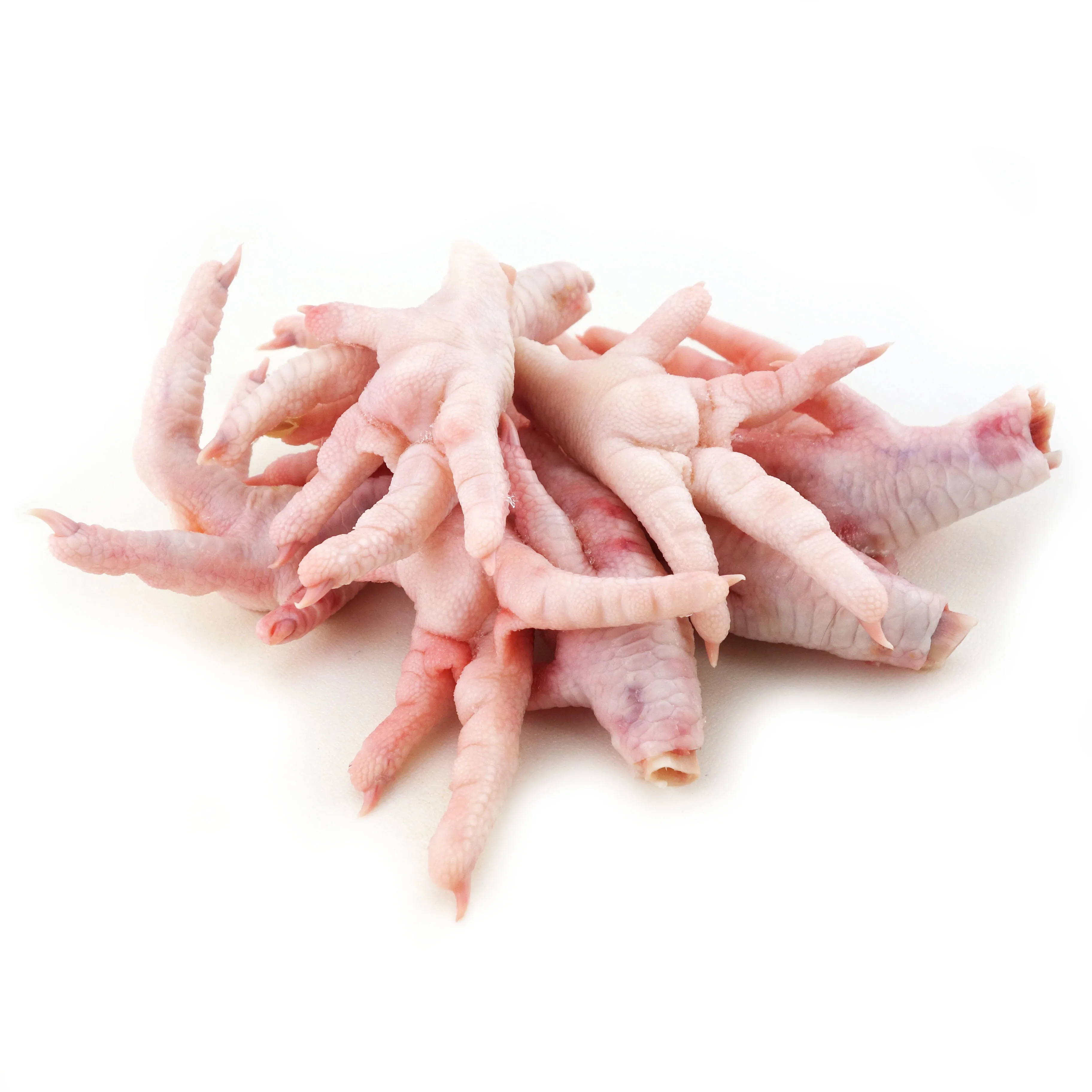 Approved SIF Frozen Chicken Feet_ SIF number 490