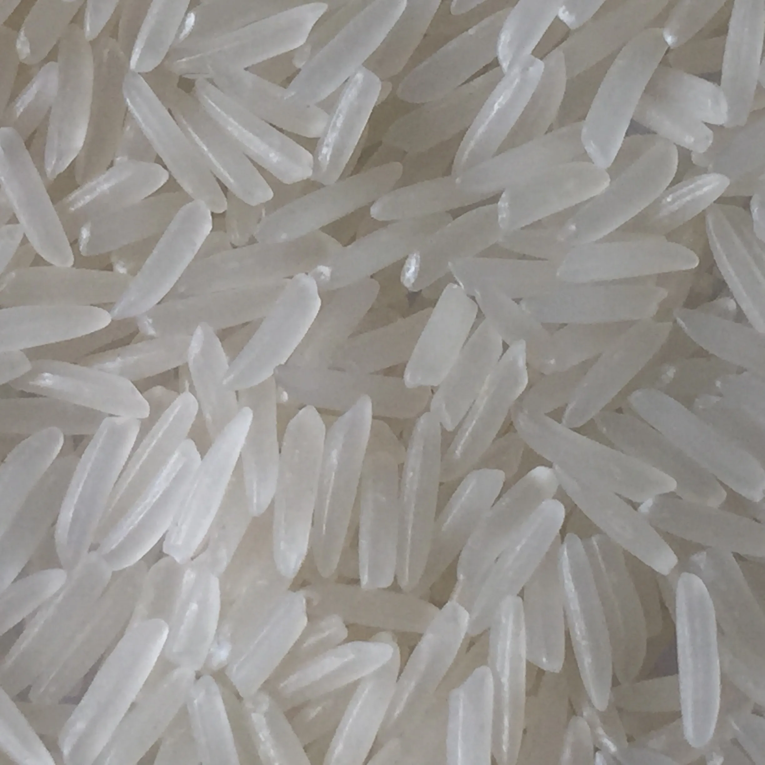 Soft Texture and Perfume sweet kind ST25 RICE