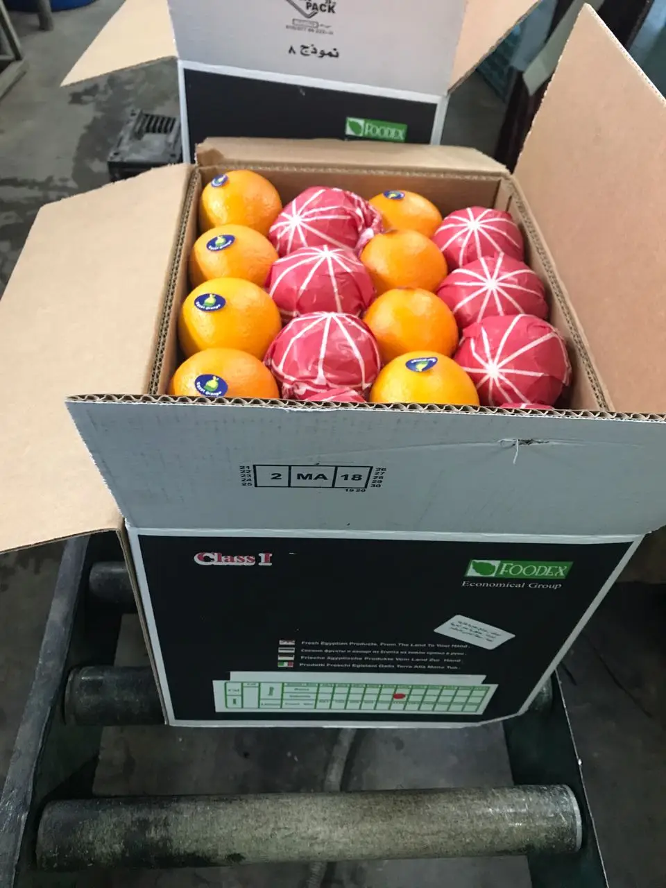 Оранжевый свежий оранжевый 2022 новый стиль желтый оранжевый свежий оранжевый фрукты