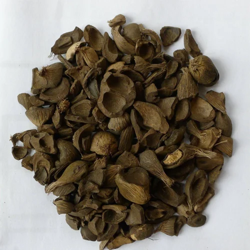 
Wholesale Price Palm kernel shell 