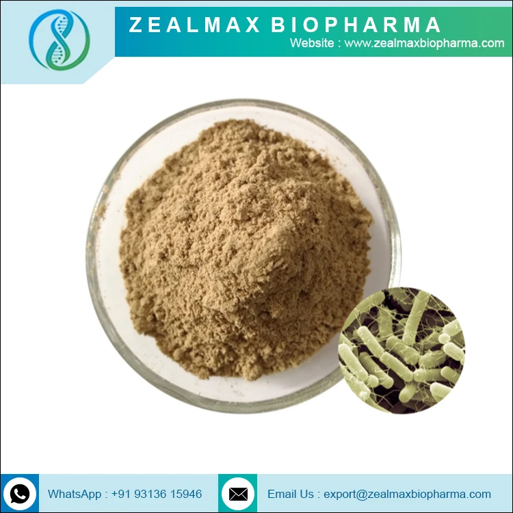 Bacillus Subtilis New Arrival Good Price OEM High Quality Bulk Probiotics Bacillus Subtilis Probiotic - Zealmax Biopharma