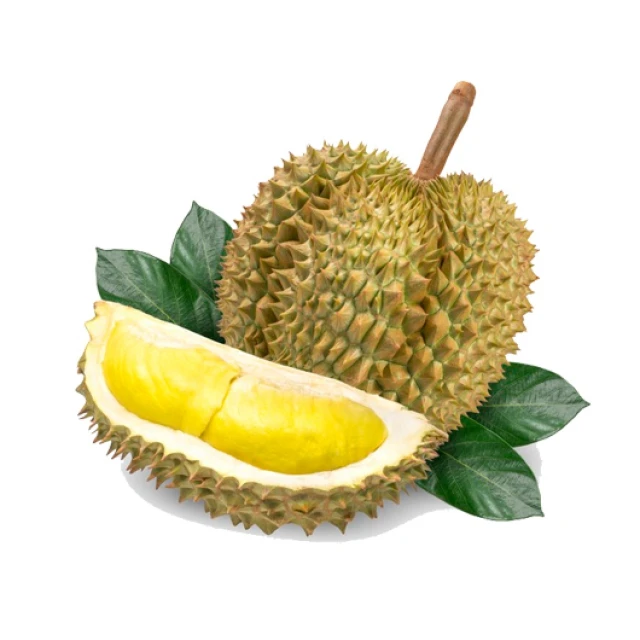 Лидер продаж свежий durians премиум класса из Таиланда от SP Organic International