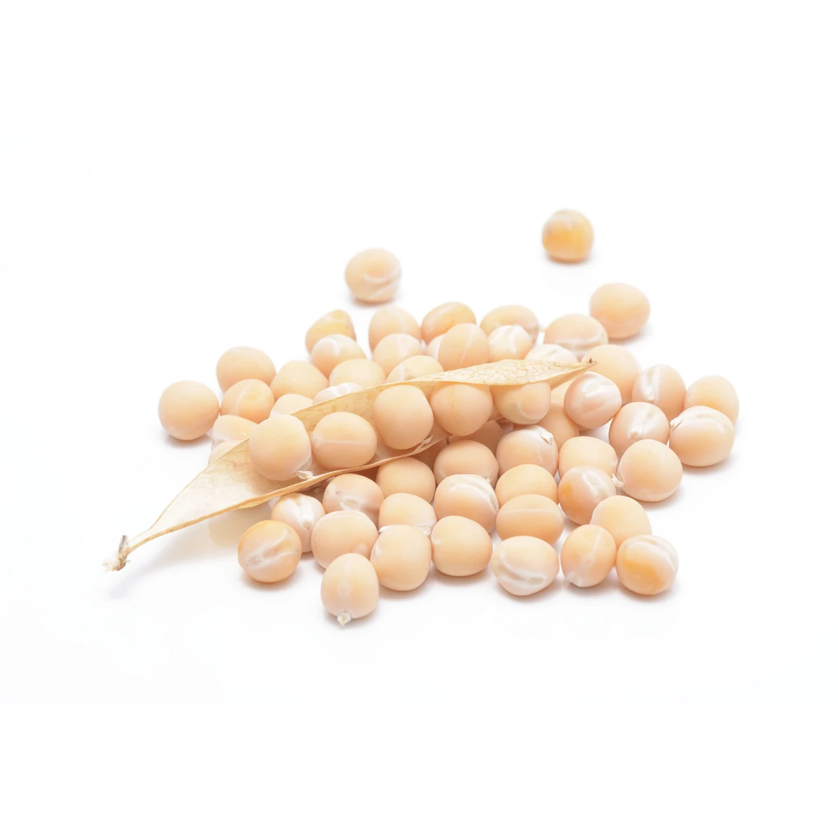 
High quality yellow peas whole high protein, pea protein 