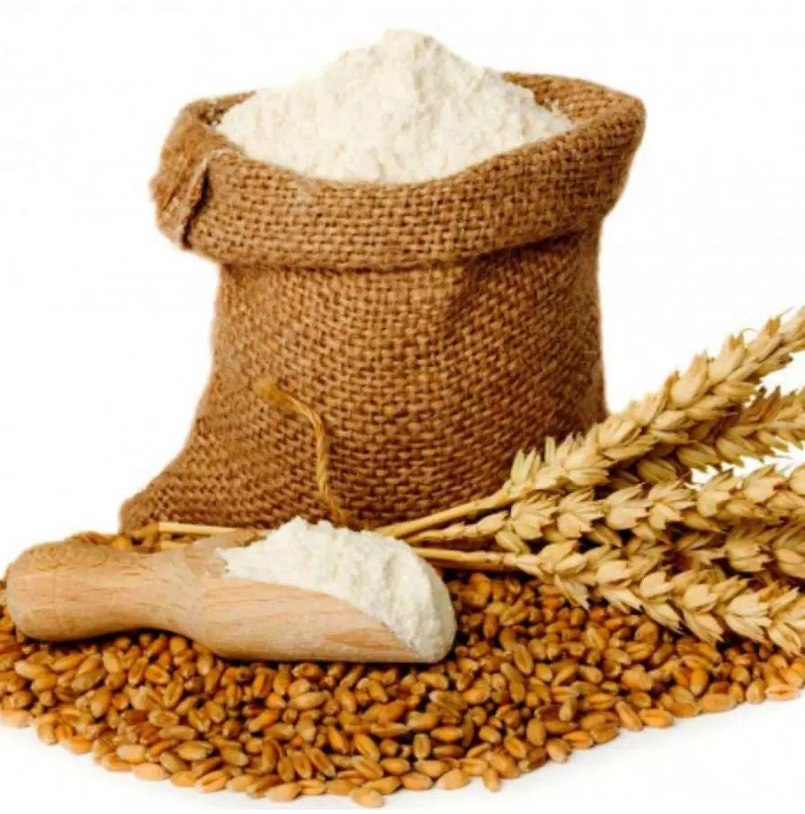 High quality Wheat grain: 100% Nutrition & Organic Quality organic wheat grain, cheap and affordable, ready for shipping.