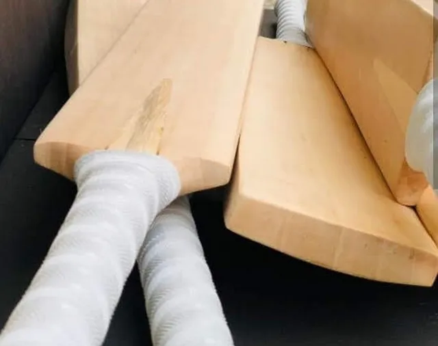 Factory price reasonable price for everyone High Quality Cricket Bat with High Performance And Good Punch in Low Price