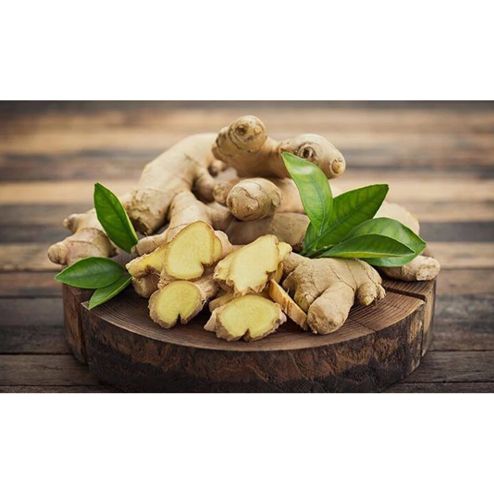 
The Best Selling Spicy Ginger Have Carton Packaging Shipping From Vietnam Have VIETGAP Certification 