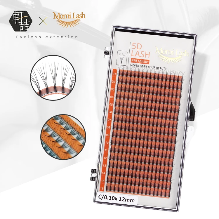 New Private Label 5D Premade Fans Lashes Vietnam Volume Eyelashes