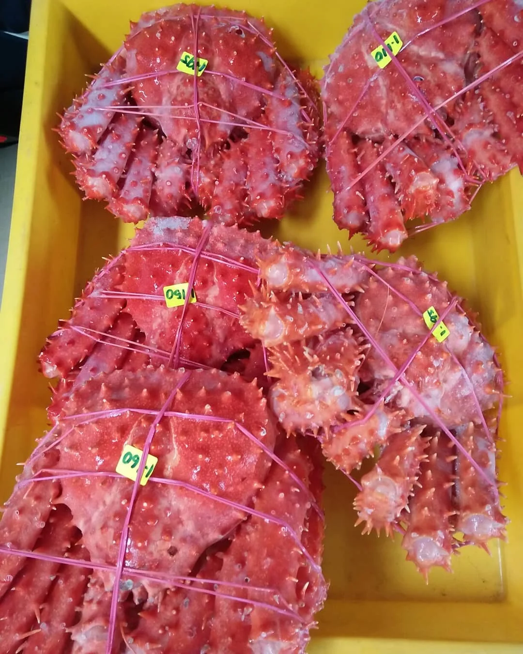 Свежий красный король Краб свежий/замороженный/живой крабы на продажу