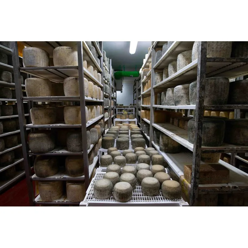High Quality Italian PECORINO SICILIANO DOP sheep milk hard cheese 6kg Vacuum Pack ready for export