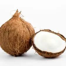 
100% Natural Wholesale Coconut /semi Husked Fresh Matured Coconut 