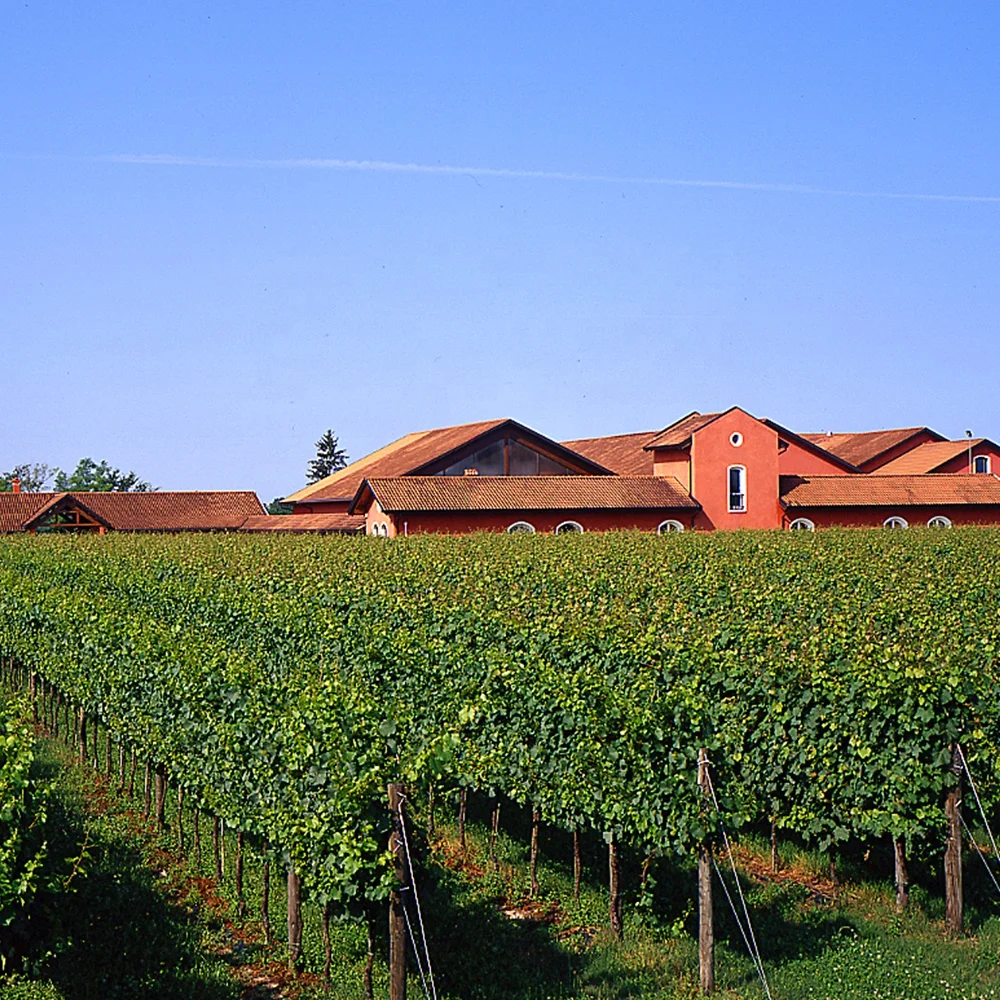 Перлая Роза высококачественное сияющее вино в итальянском стиле San Simone везо Doc Brut 750 мл для экспорта