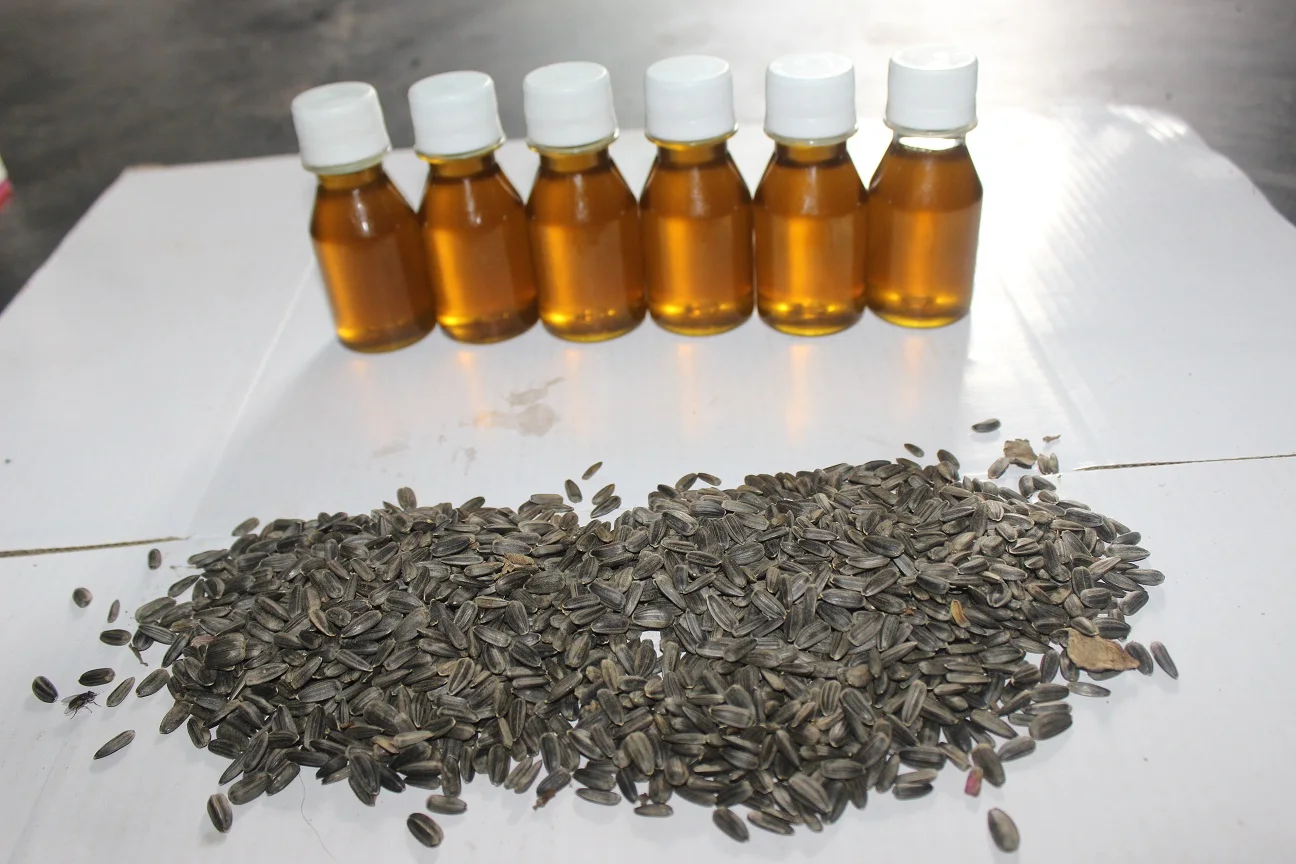 Sunflower cooking oil