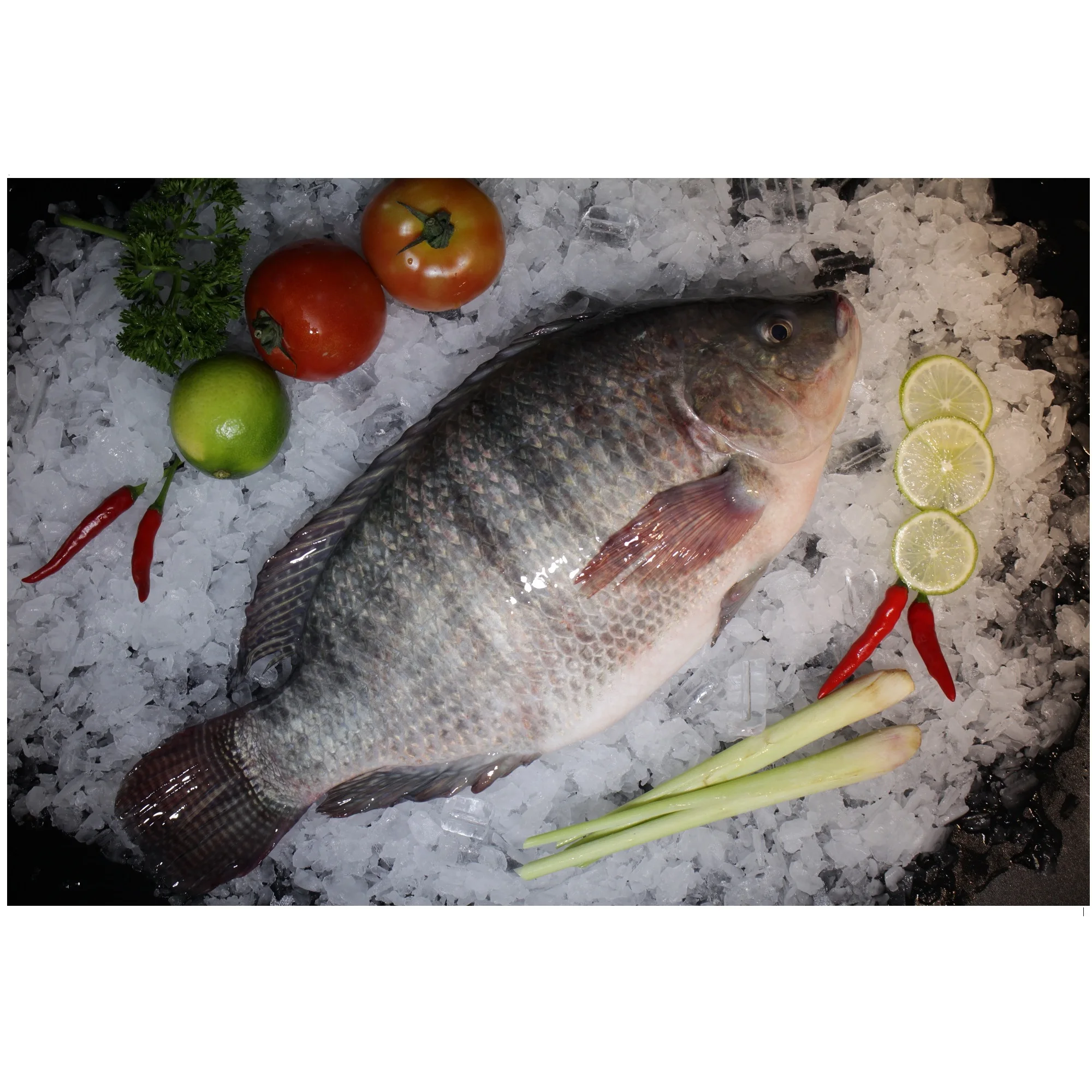 
 Высокое качество целое и филе кусок замороженный Срок годности 24 месяцев из Вьетнама тилапии рыбы  