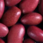 Новый Урожай высококлассной темно-Красной фасоли