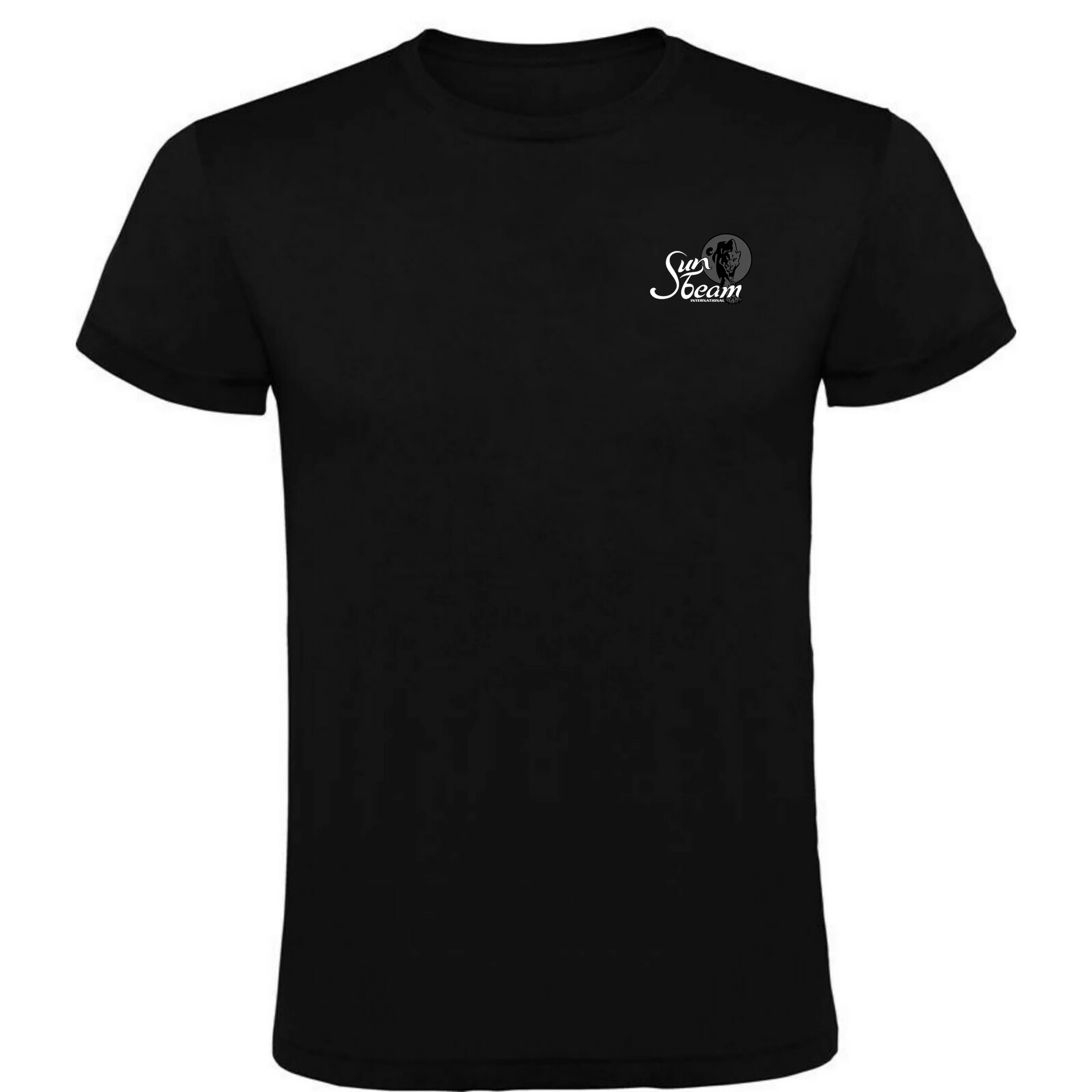 Pakistan Manufacturer Custom Clothing Men T Shirt With Custom Embroidered Logo T Shirt