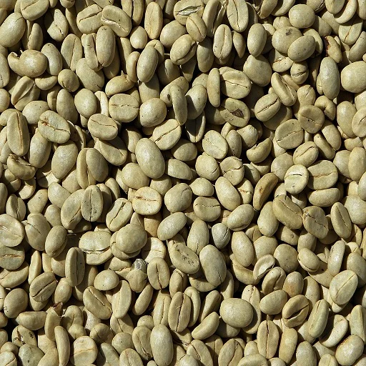 
Green coffee bean Robusta price raw coffee 
