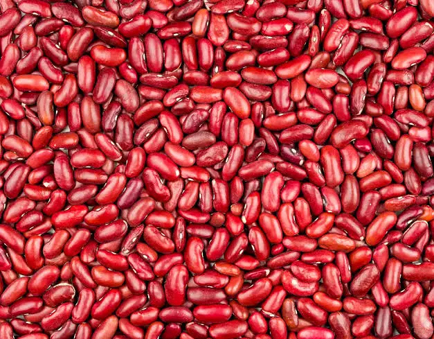 New Crop Red, white, Black and Speckled Kidney Beans
