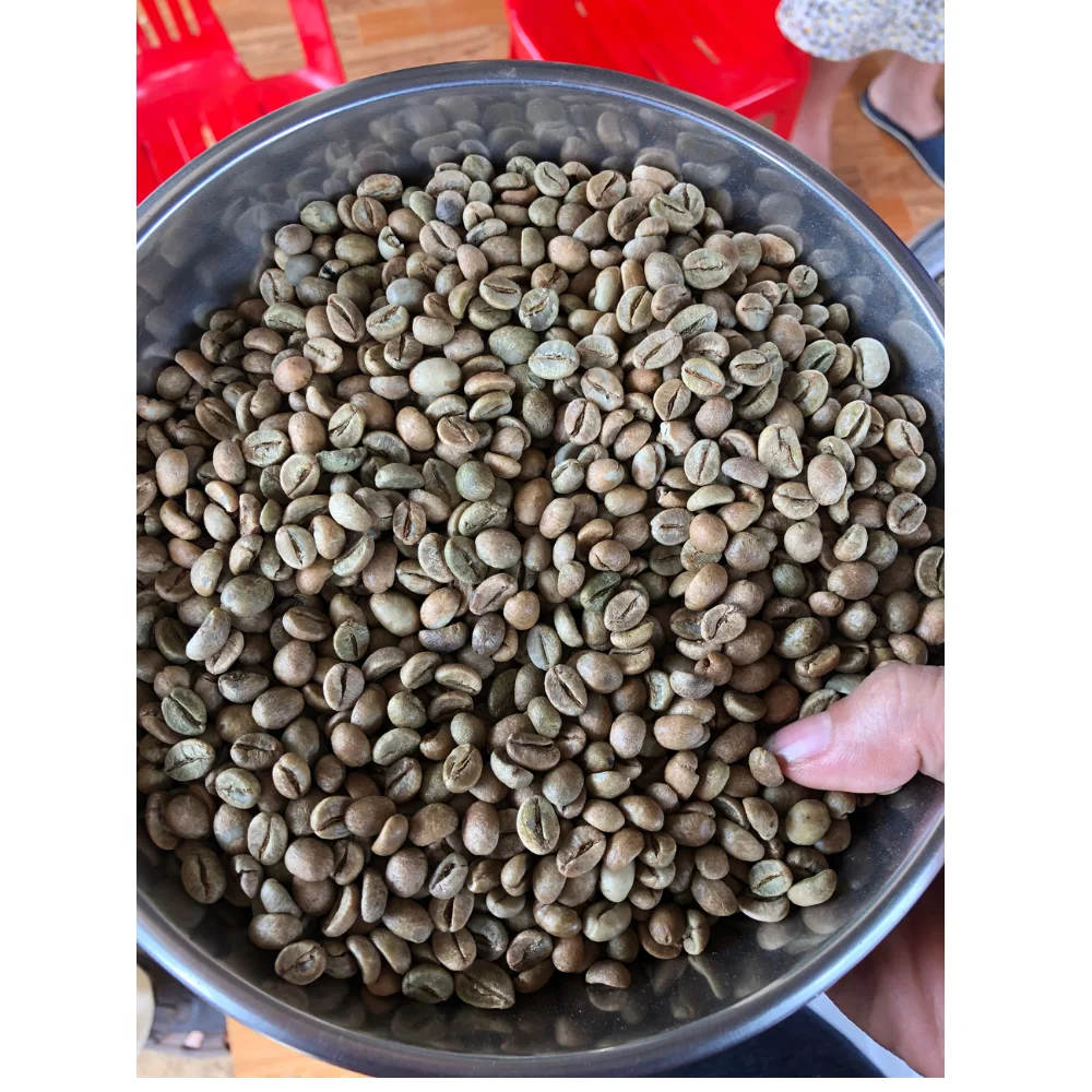 
Лучшие зеленые необработанные кофейные зерна Robusta с сроком годности 26 месяцев в пластиковой упаковке из Вьетнама 