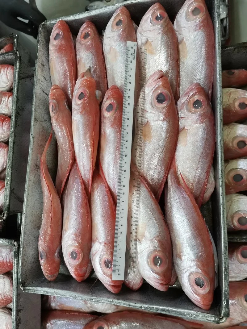 Натуральный красный цвет, замороженные круглые рыбы с большими глазами с максимальной влажностью 0.05% из малайзии