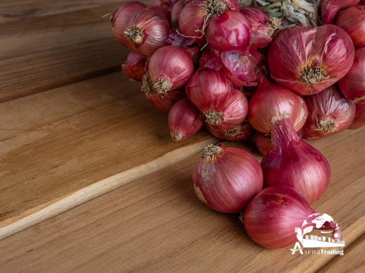 Red, White and Yellow Onion Best Quality for sale healthy food great quality fresh onion