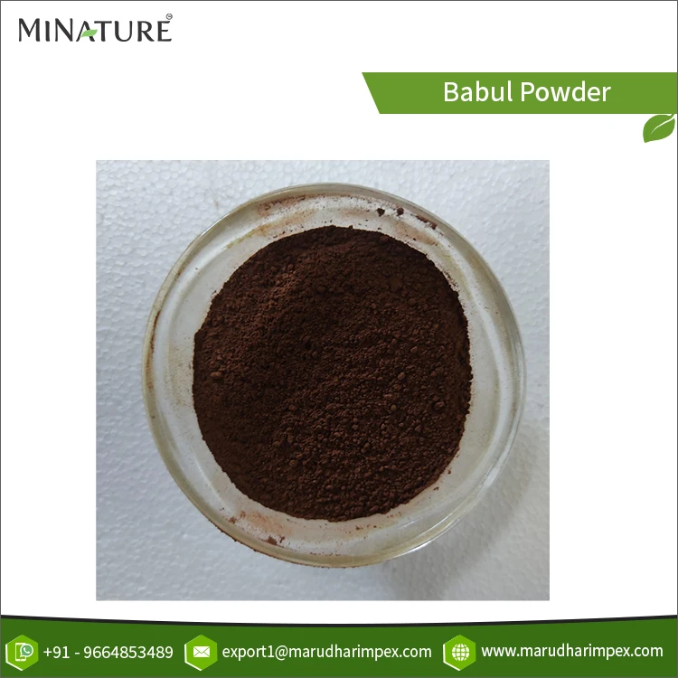Wholesale Selling Pure 100% Natural & Organic Babul (Vachellia nilotica) Herbal Powder from India at Low Market Price