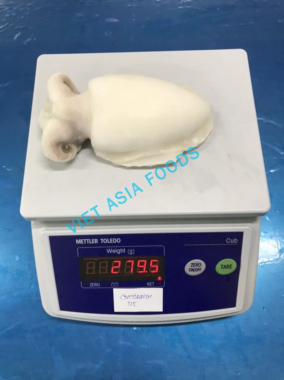 (NEW PRODUCT) Cuttlefish/Frozen Whole Cleaned Cuttlefish For Sale in VietNam