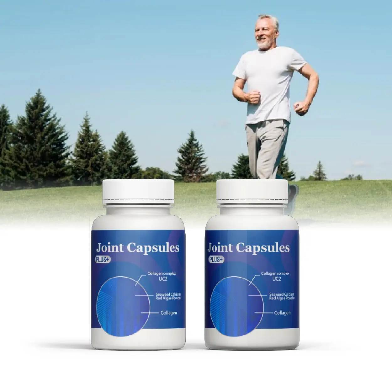 Private label l-arginine glucosamine msm strengthen circulation msm powder