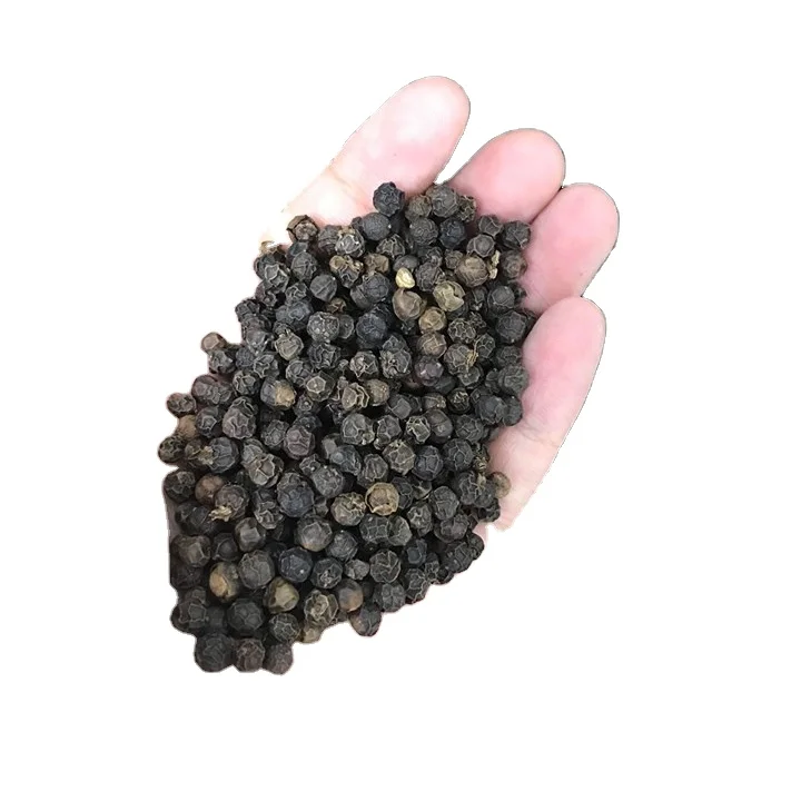 Черный перец черный 570GL | Лидер продаж высококачественный из Вьетнама Оптовая продажа