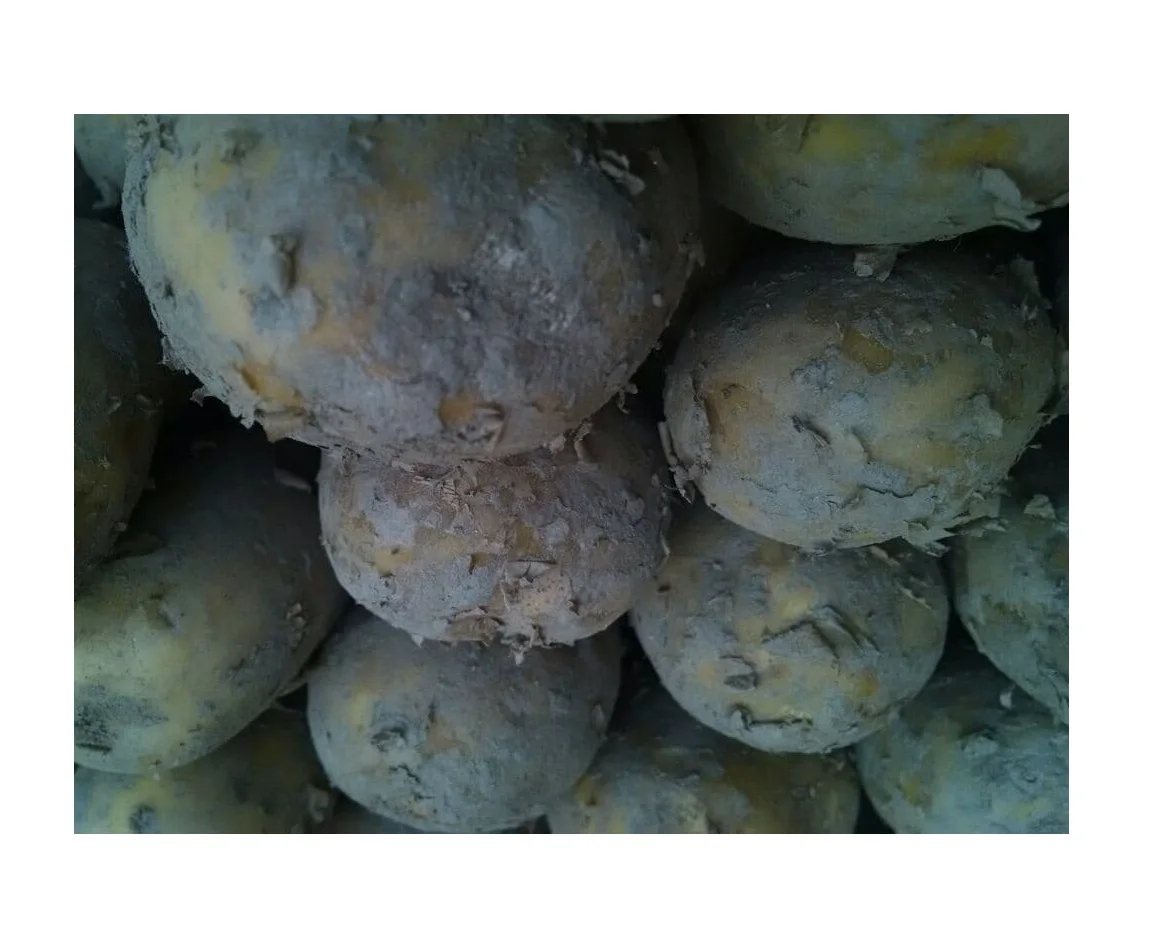 100% Top High Quality Cheap Price Pakistan Made Fresh Red Potato For Sale