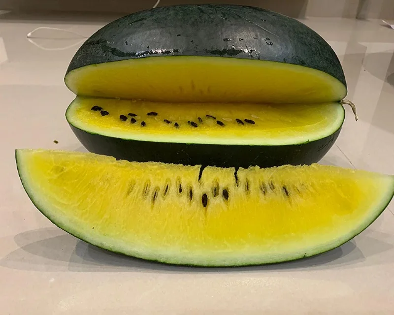 
 Гибридные семена арбуза «желтый ангел» по оптовой цене  