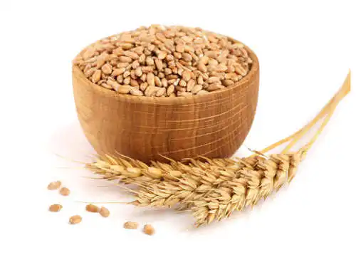 Barley9.jpeg
