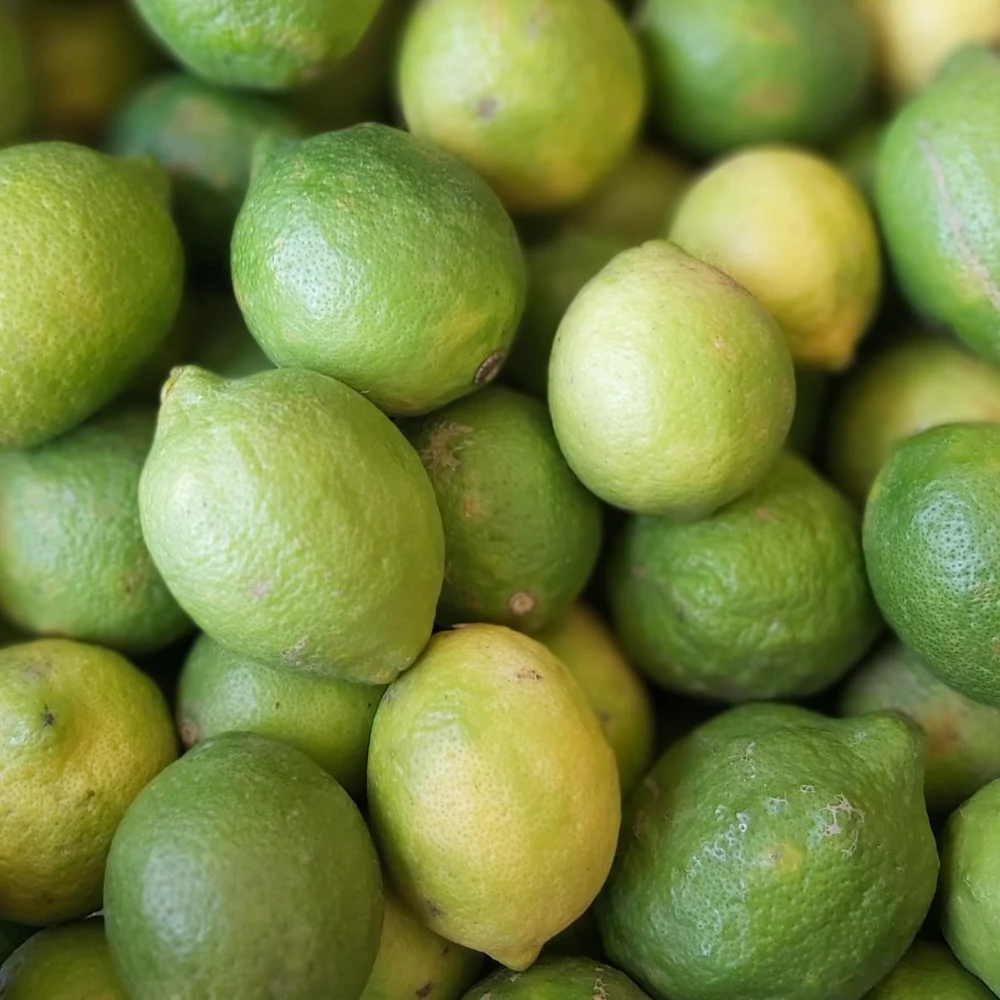 HIGH QUALITY FRESH LIME FRESH LEMON FRESH CITRUS YELLOW NATURAL ORIGIN TURKEY HIGH QUALITY FRESH FRUIT JUICY CITRUS LEMON