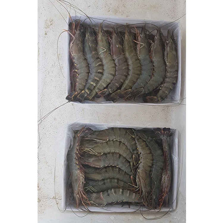 Живые и замороженные морепродукты, Черные Тигровые креветки, гигантские креветки, продажа из Тайваня