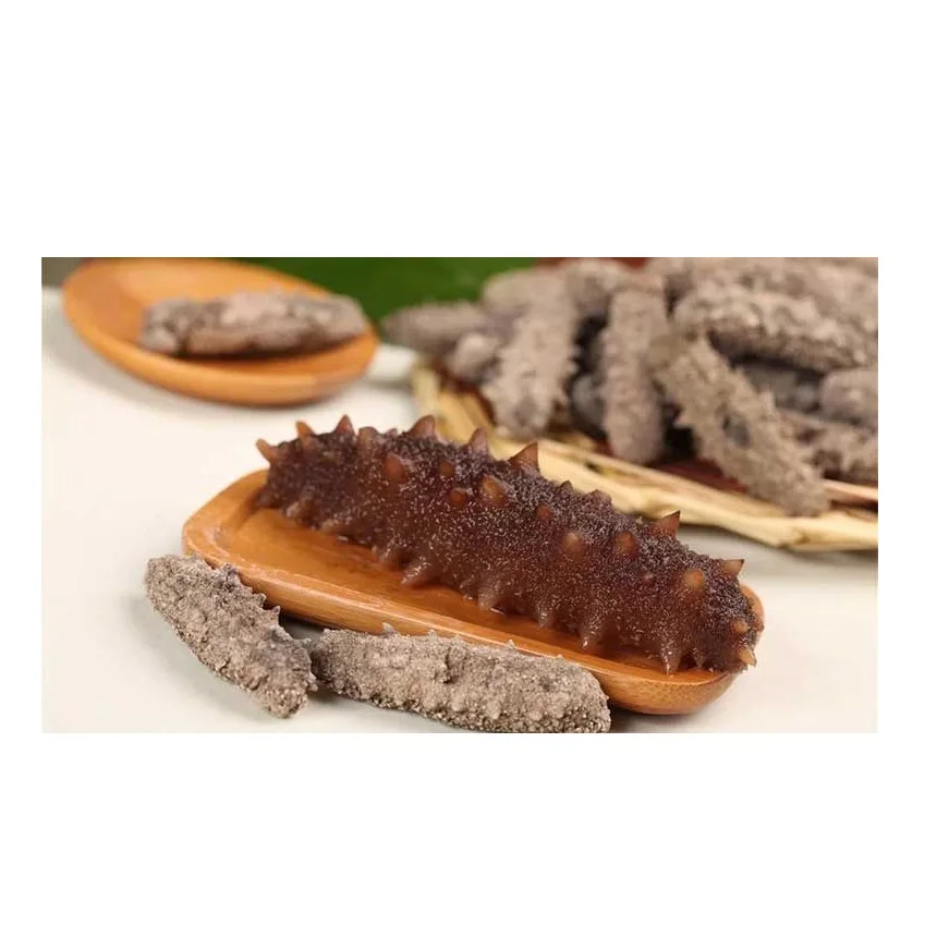 SUPPLIER DRIED SEA CUCUMBER HIGH QUALITY WHITE TEAT FISH CHEAP PRICE ELEPHAN TRUNKFISH FROM VIETNAM