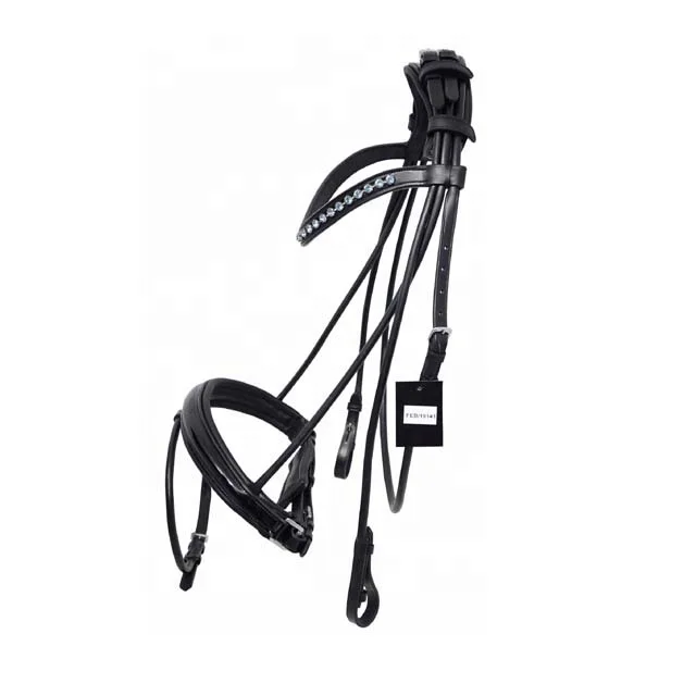 Indian Leather Horse Bridle.