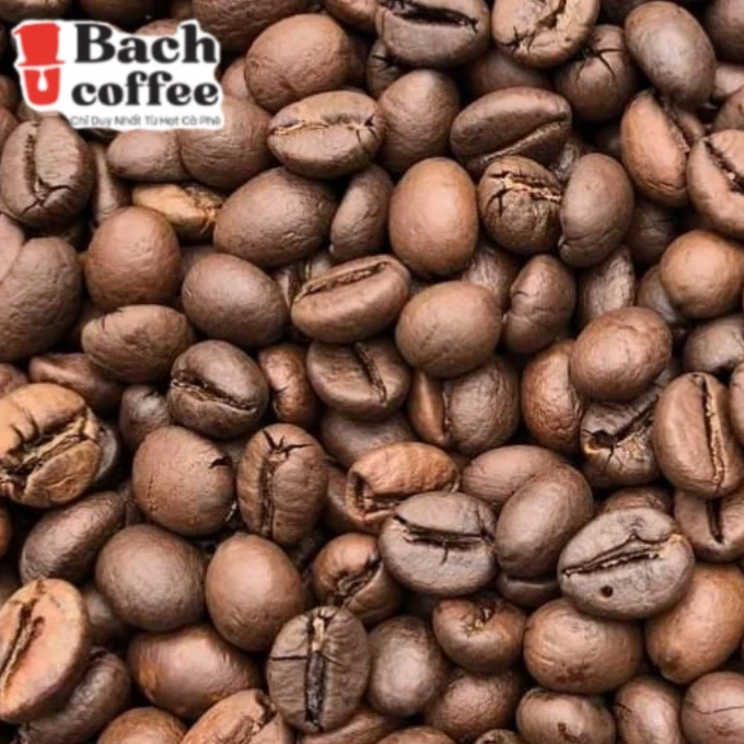  Bach Coffee Distributor / Manufacturer OEM : Roasted Robusta -Arabica - Peaberry White Beans Fair and Direct Trade