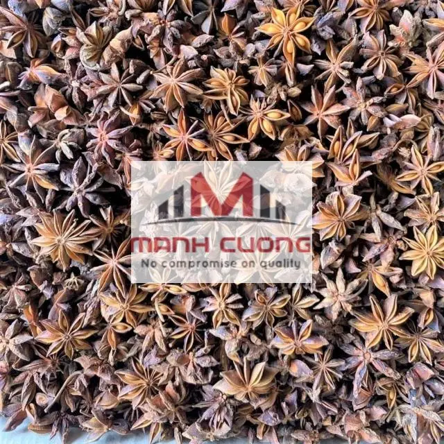 Best Sale from Vietnam Broken Star Anise   Star Anise for Health Curry Powder Indian Spices