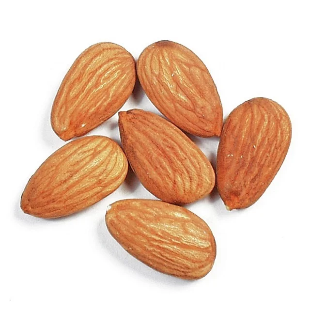 High Quality raw Almond nuts