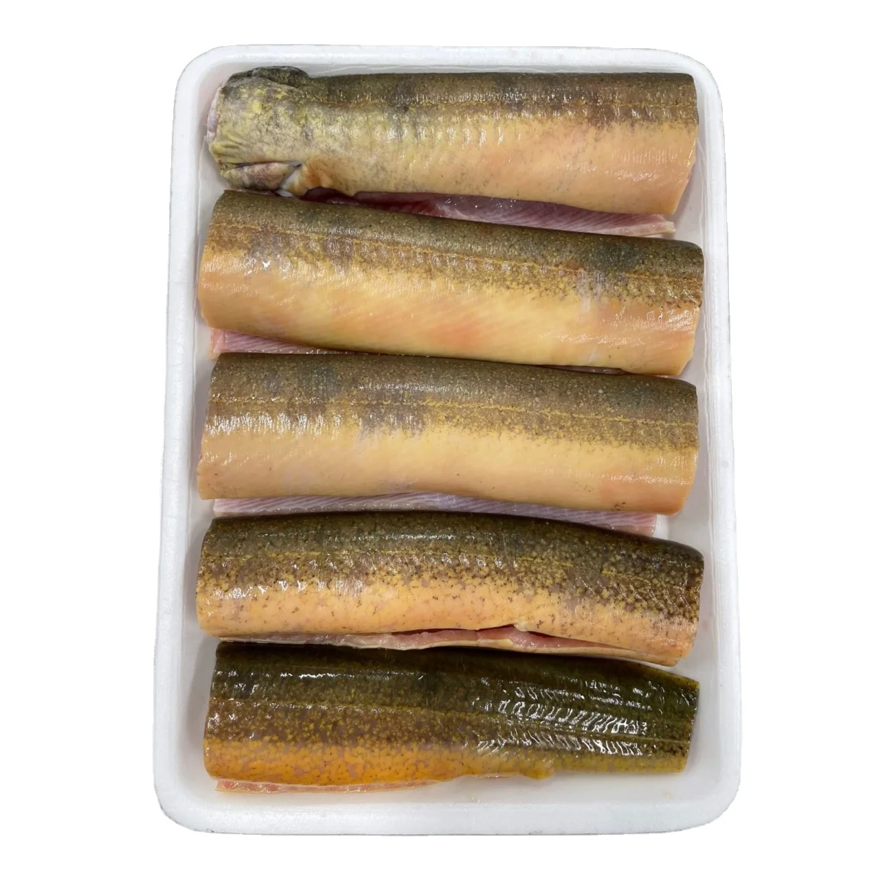 Eel fish fillet Factory Supply Wholesale Eel Frozen cleaned eel meat made in Vietnam Frezze frozen sea