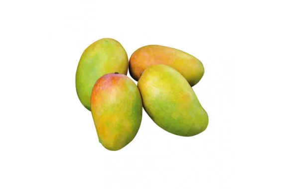 Unique Fresh MANGO 2021 at a Cheaper FOB price available for Export