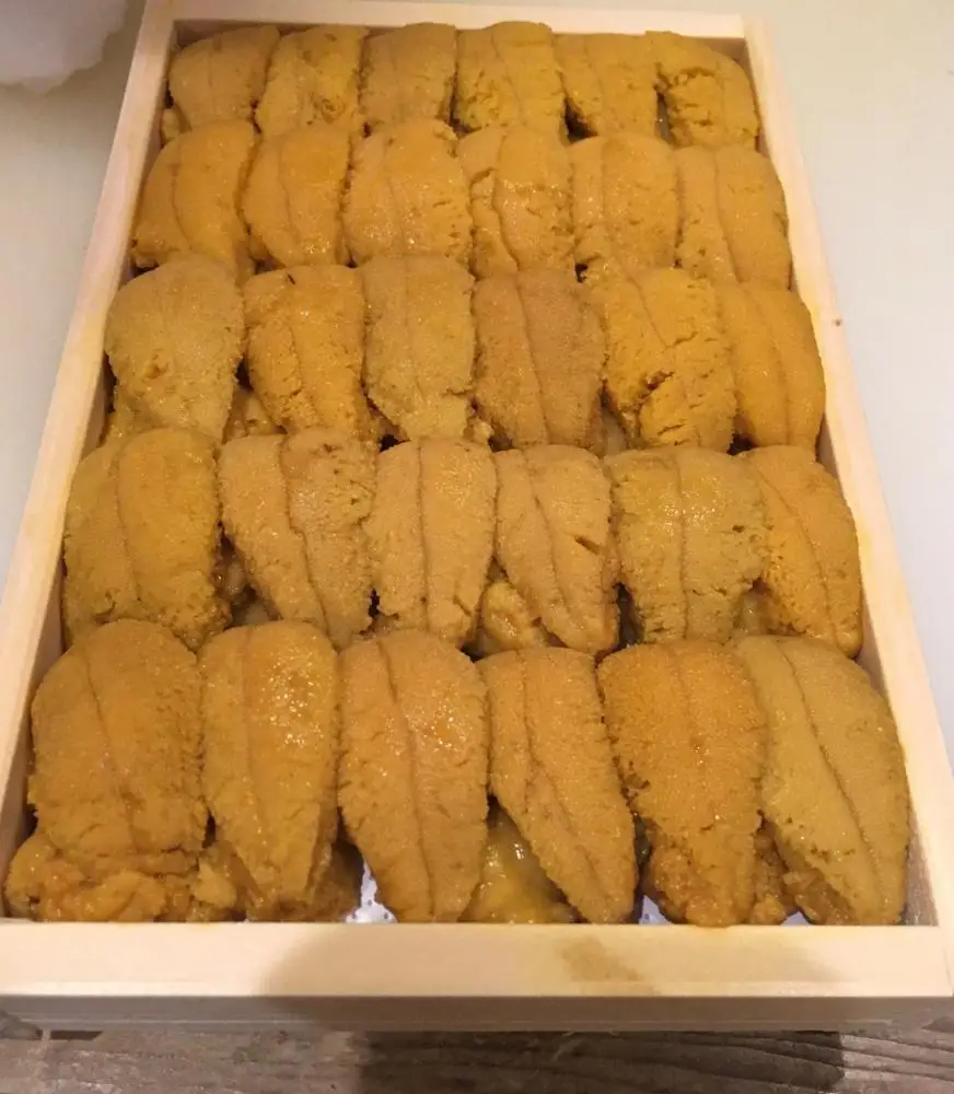 
Live Sea Urchin/ Fresh Sea Urchin Hot sale 