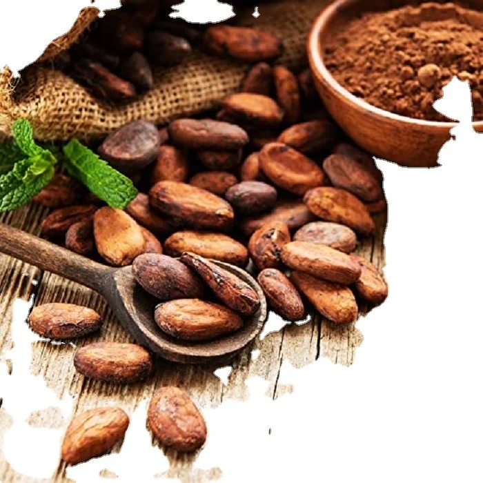 Wholesale Organic Cocoa Beans Roasted / 100% arabica colombian coffee roasted beans