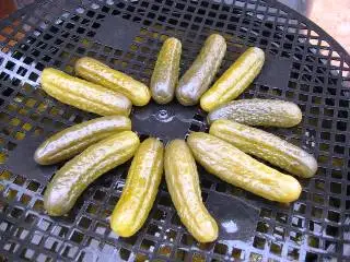 Fermented Cucumbers