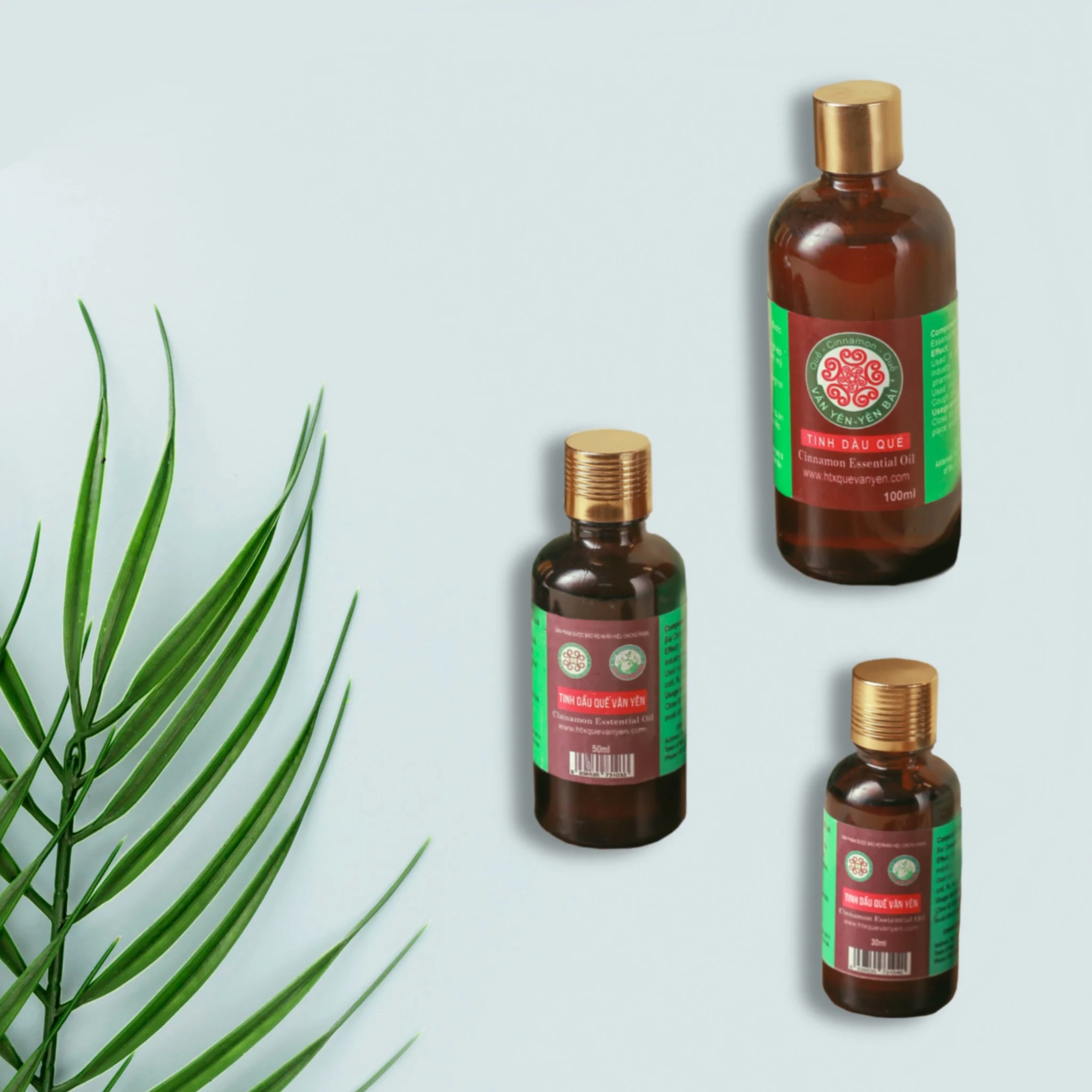  Эффективное согревающее и расслабляющее эфирное масло корицы набор от поставщика из Вьетнама