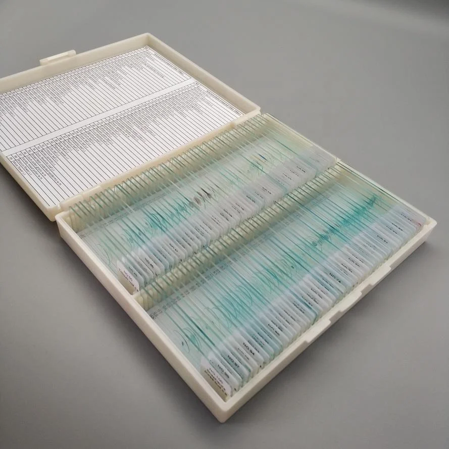 
 Pro-Botany Prepared Microscope Slides  